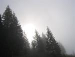 Glaubenberg - Niebla y un frio de coj...