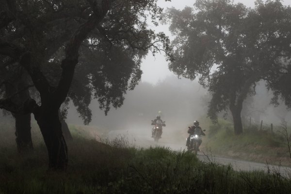 MICHELIN ANAKEE ADVENTURE NIEBLA